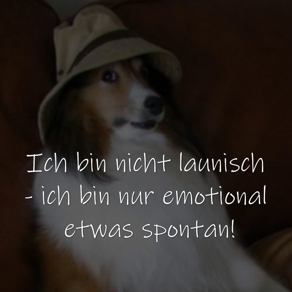 Ich bin nicht launisch - ich bin nur emotional etwas spontan!