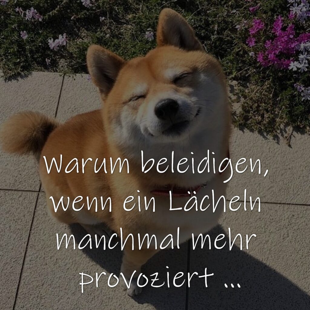 Warum beleidigen, wenn ein Lächeln manchmal mehr provoziert.