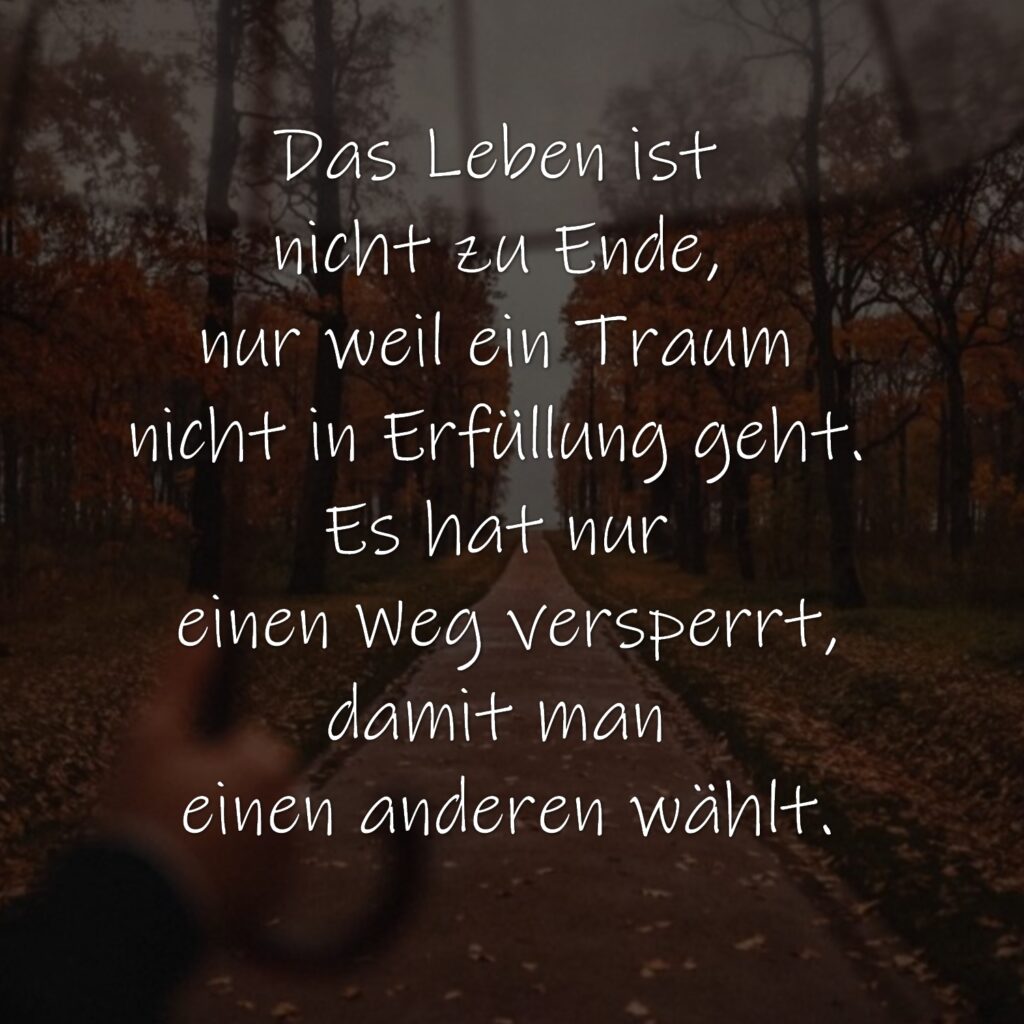 Das Leben ist nicht zu Ende, nur weil ein Traum nicht in Erfüllung geht. Es hat nur einen Weg versperrt, damit man einen anderen wählt.