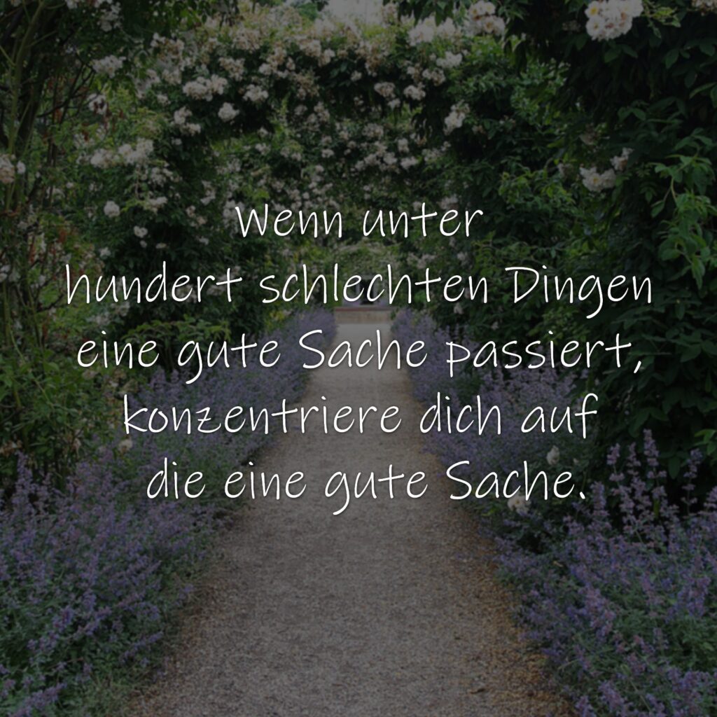 Wenn unter hundert schlechten Dingen eine gute Sache passiert, konzentriere dich auf die eine gute Sache.