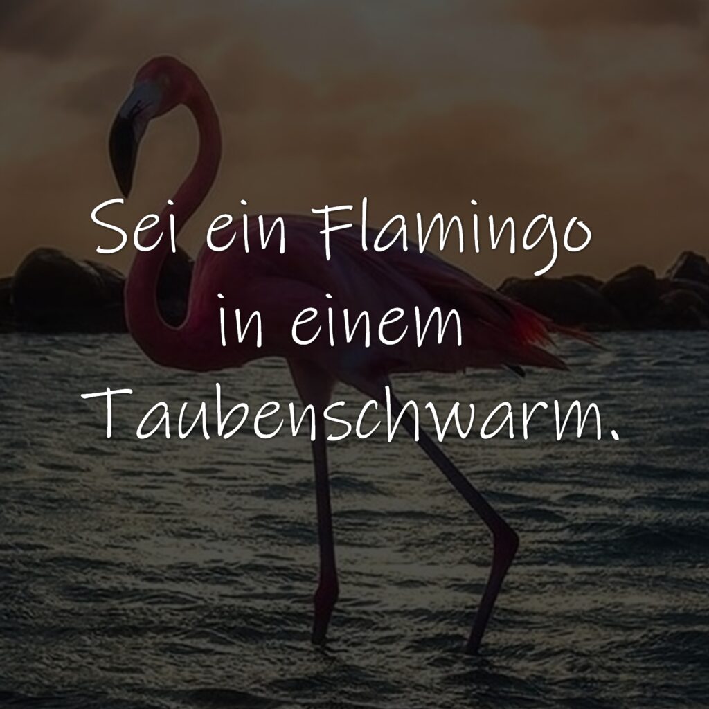 Sei ein Flamingo in einem Taubenschwarm.