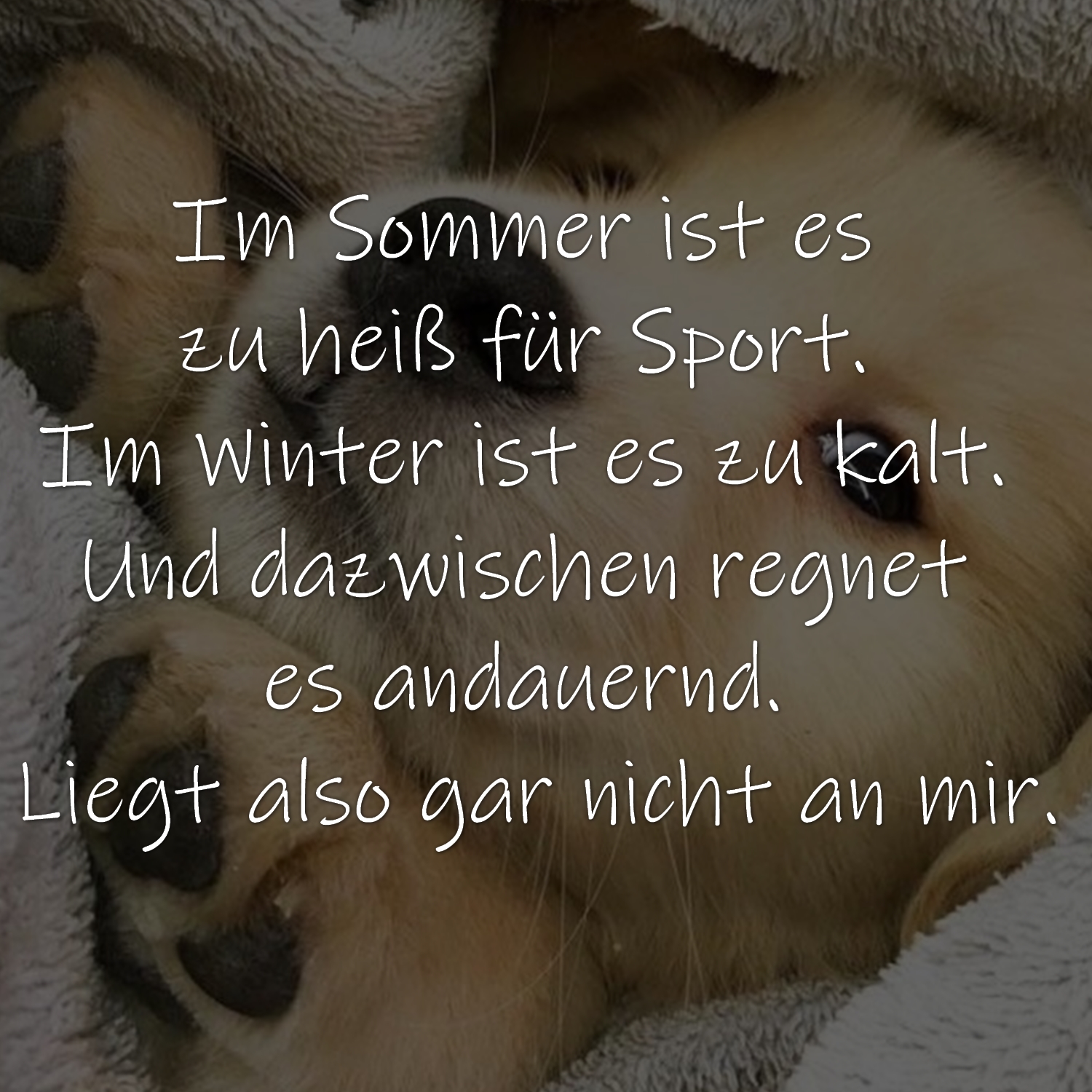 Winter Wintersprüche Winterzitate und Wintergedichte Weisheiten