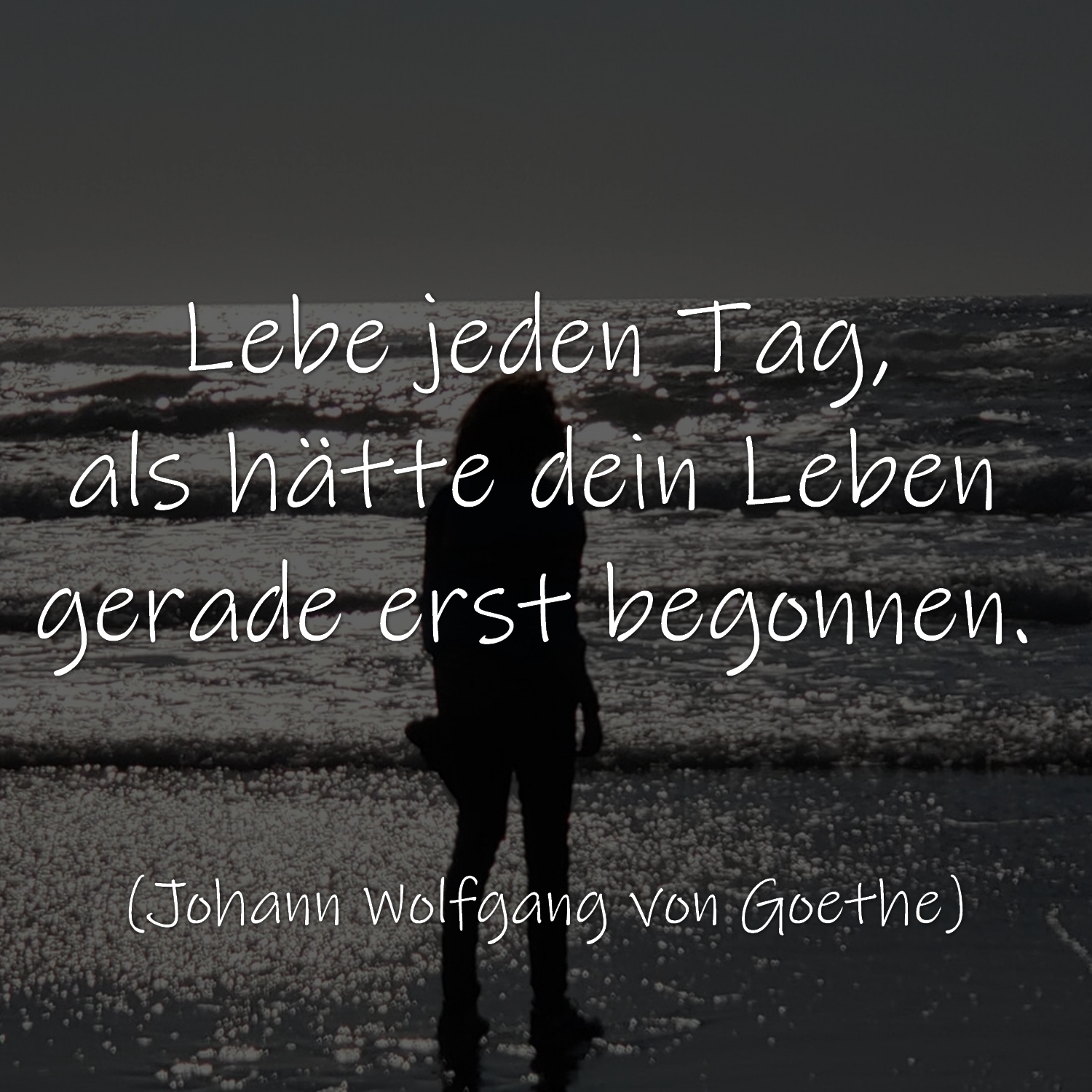 Zitat des Tages Tageszitate spruechetante.de